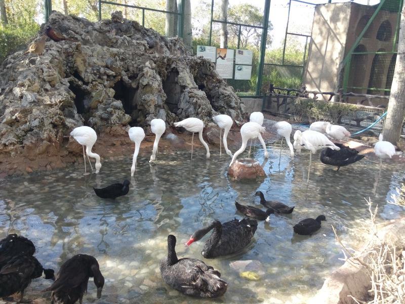 اردوی علمی تفریحی دانش آموزان پایه اول - باغ پرندگان