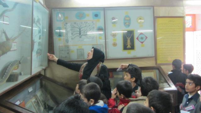 بازدید پایه سوم  از موزه تاریخ طبیعی