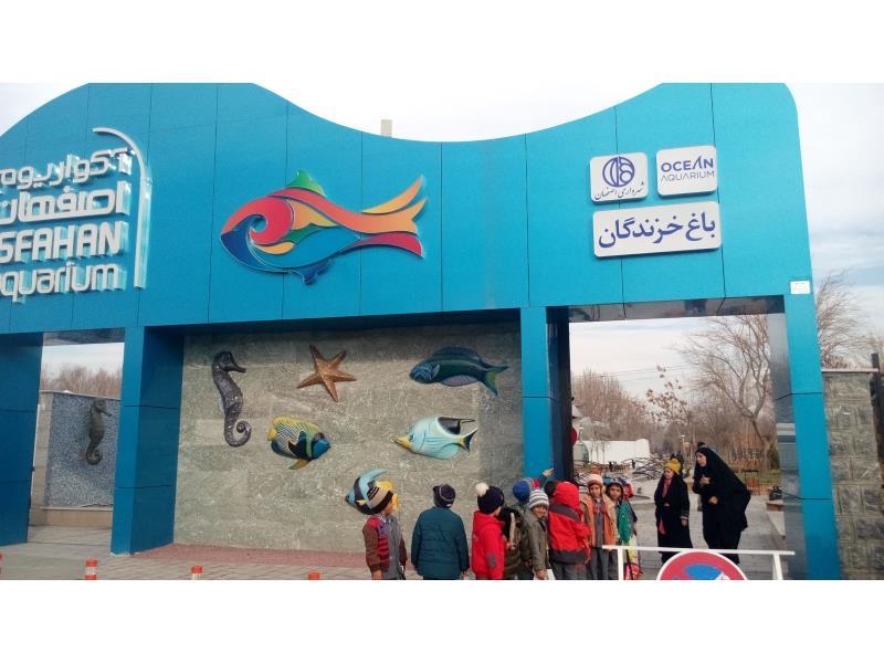 بازدید دانش آموزان پایه های اول و دوم از آکواریوم 